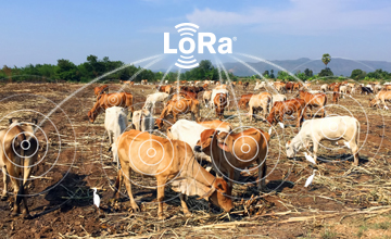 LoRa website smart agriculture quantified agriculture