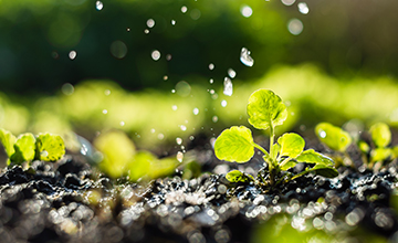 LoRa-based smart agriculture automated irrigation