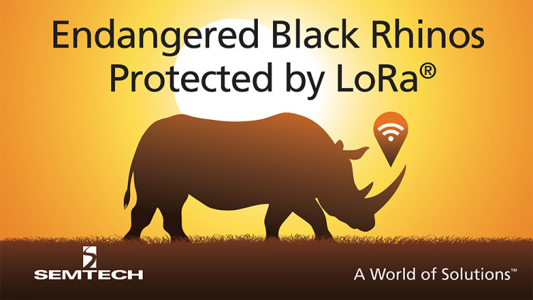 Semtech LoRa Technology Tracks Location of Endangered Black Rhinos in Africa
The Internet of Life organization deploys LoRaWAN IoT network to monitor endangered species and improve operations at Mkomazi National Park in Tanzania