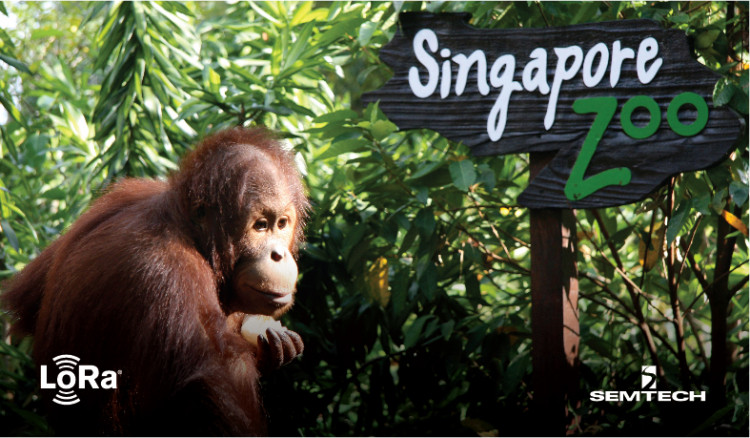 Semtech and Sindcon Bring Smart Metering to the Singapore Zoo With LoRaWAN®