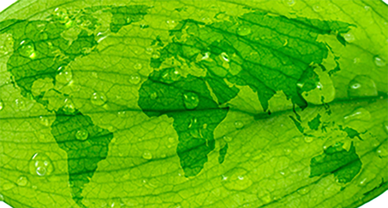 Semtech's Environmental Responsibility
We are committed to practicing environmental stewardship and incorporating green initiatives throughout our business.