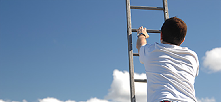 Career Paths:
Committing to career development and the future of our employees.