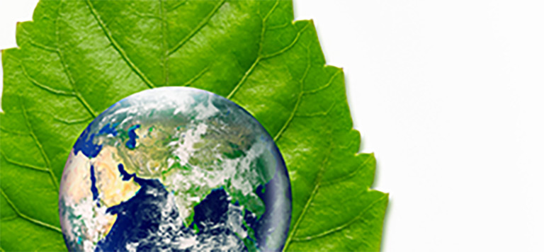 Corporate Responsibility and Environmental Sustainability
Semtech understands the significance of corporate stewardship. As a hardware component manufacturer, we take on the responsibility of implementing clear guidelines and viable practices throughout o