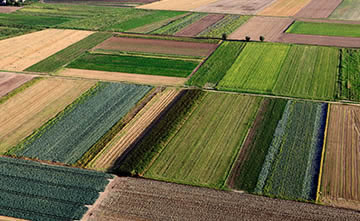 LoRa smart agriculture processing