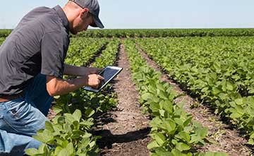LoRa-based Internet of Things smart farming