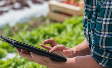 LoRa and LoRaWAN revolutionize smart agriculture white paper